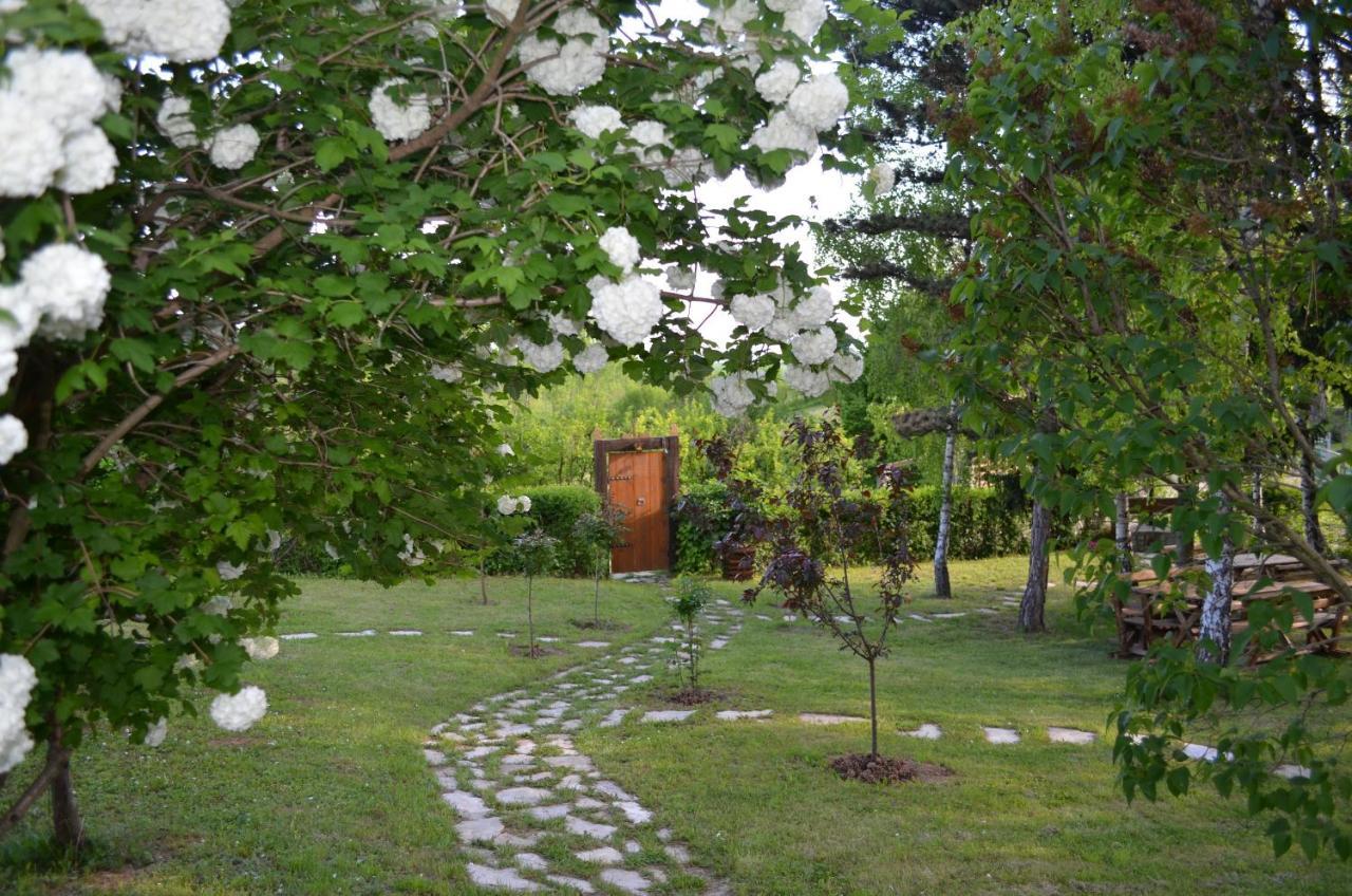 Vila Davidovic-Fruska Gora Mandelos Exterior photo