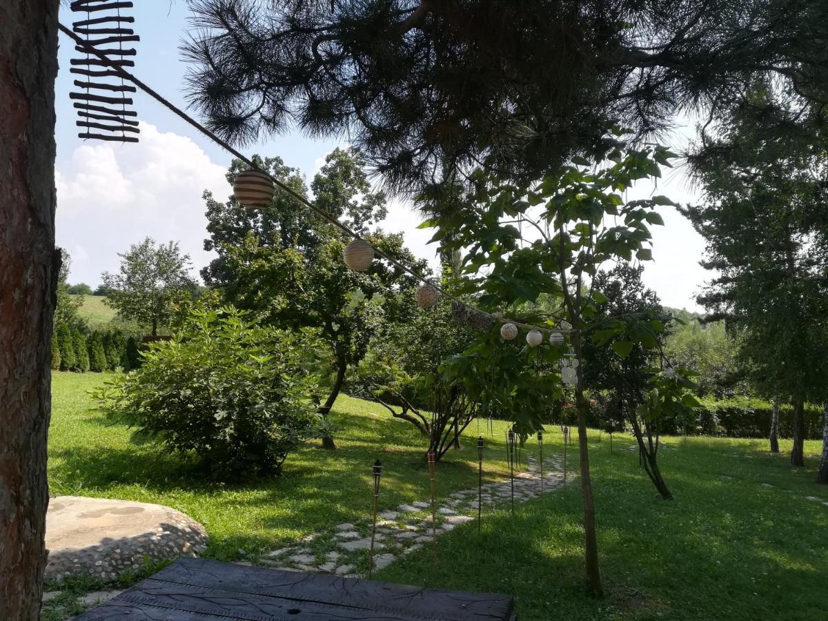 Vila Davidovic-Fruska Gora Mandelos Exterior photo