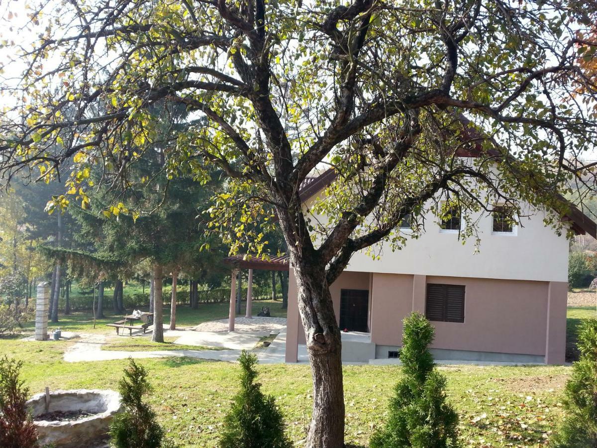Vila Davidovic-Fruska Gora Mandelos Exterior photo
